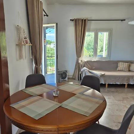 Skinilla With Mountain View Apartment